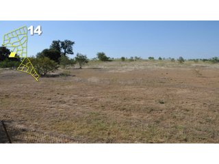 Property photo 81 - Mickle's Valley View Ranch and Canyon West Golf Club 506+/- Acres Offered in 27 Tracts in Weatherford, TX